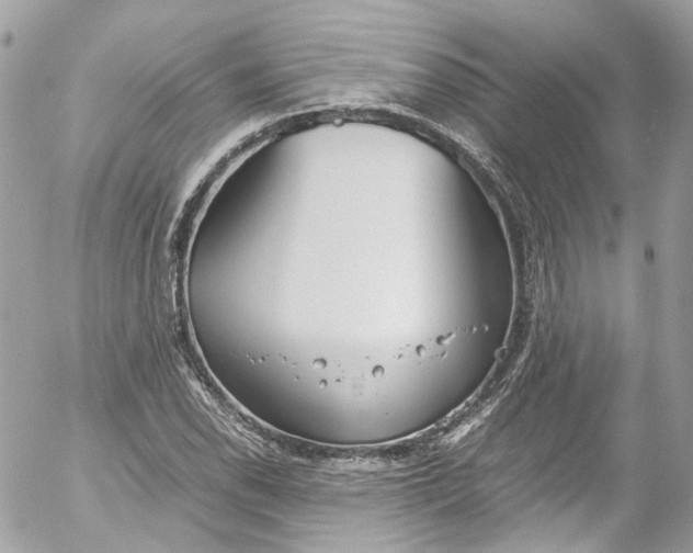 X0000052551118200507221444