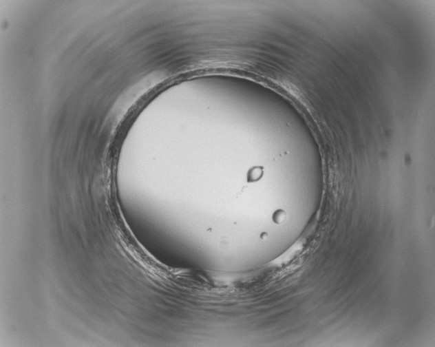 X0000052551119200507221444