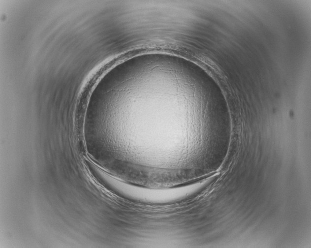 X0000052551120200507221444