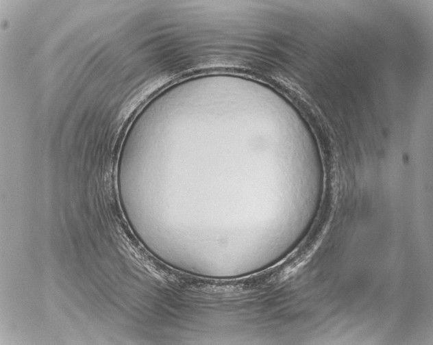 X0000052551121200507221444