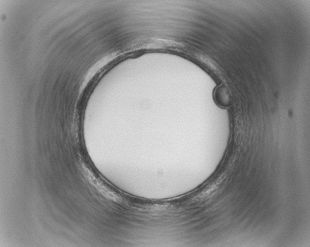 X0000052551122200507221444