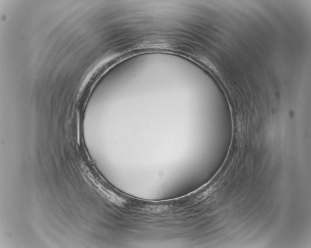 X0000052551123200507221444