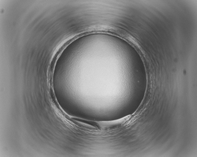 X0000052551124200507221444