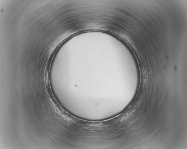 X0000052551125200507221444