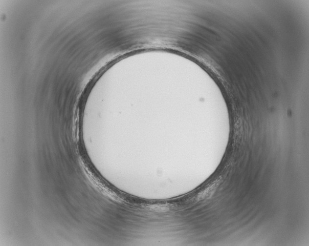 X0000052551126200507221444