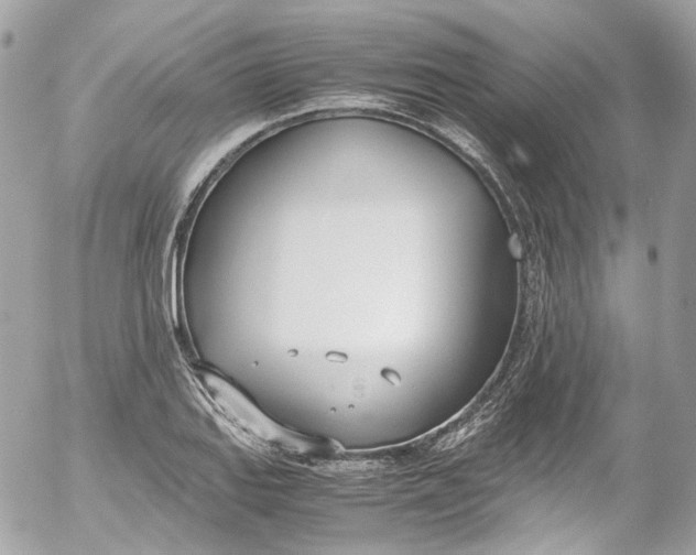 X0000052551127200507221444