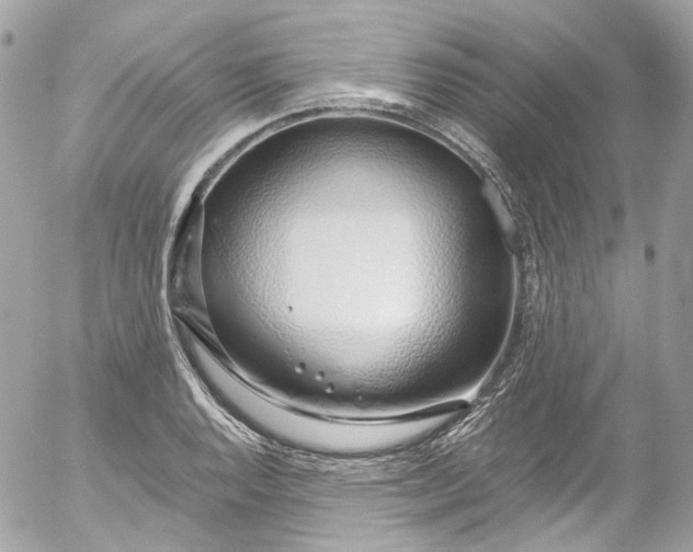 X0000052551128200507221444