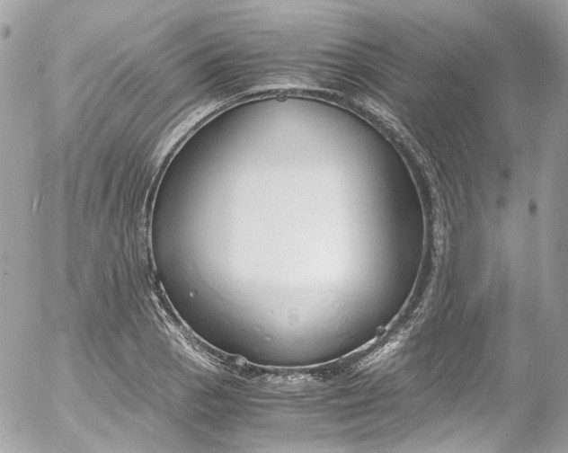 X0000052551129200507221444