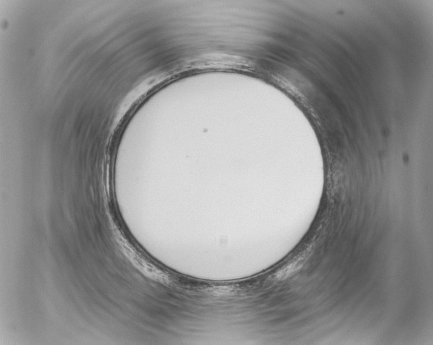 X0000052551130200507221444