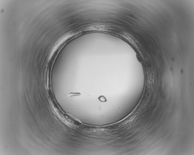 X0000052551131200507221444