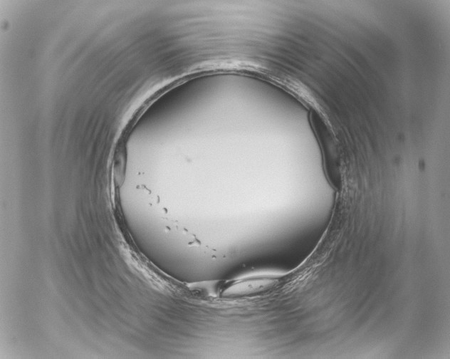 X0000052551132200507221444