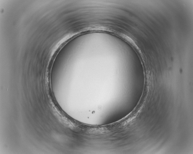 X0000052551133200507221444