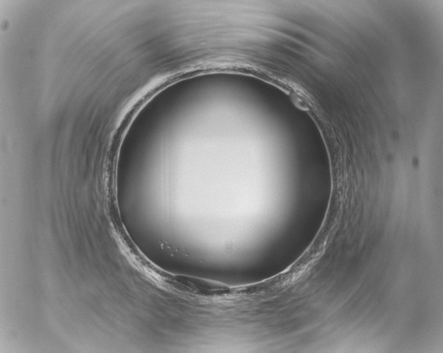 X0000052551134200507221444