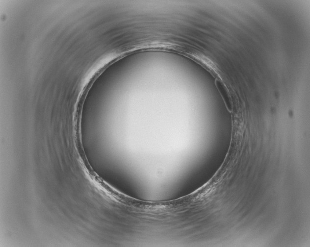 X0000052551135200507221444