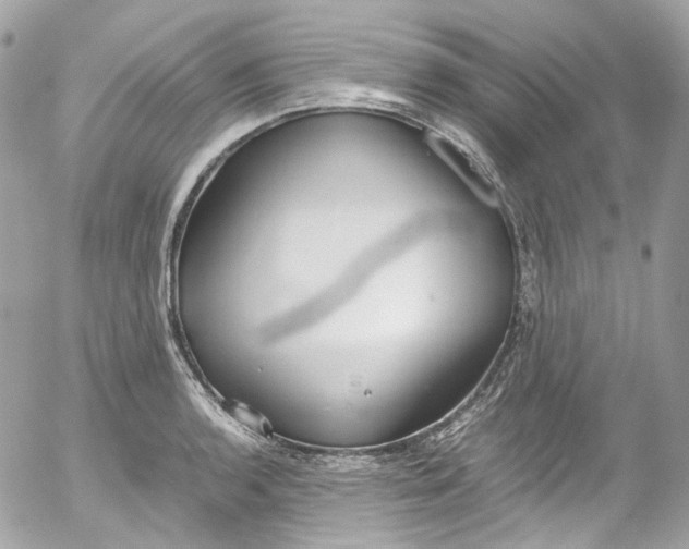 X0000052551136200507221444