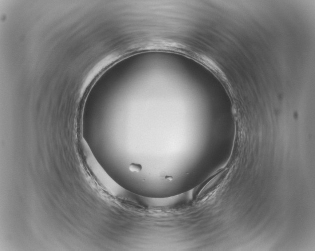 X0000052551138200507221444