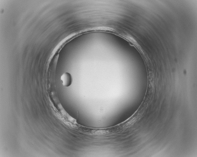 X0000052551140200507221444