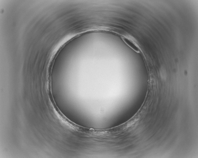 X0000052551143200507221444