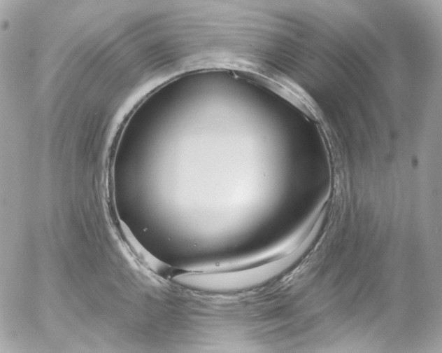 X0000052551144200507221444