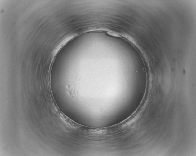 X0000052551145200507221444