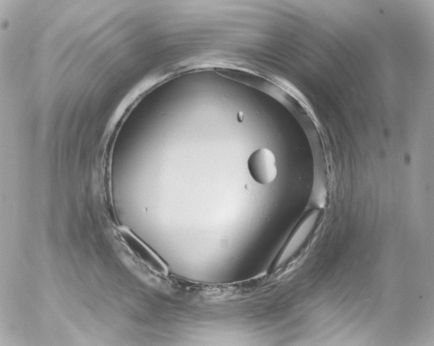 X0000052551146200507221444