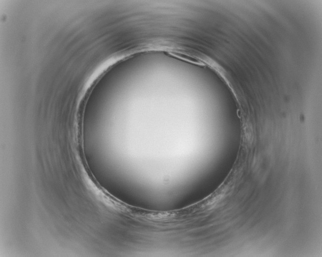 X0000052551147200507221444