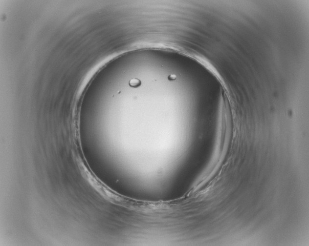 X0000052551148200507221444