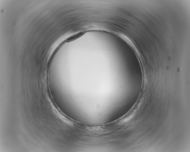 X0000052551149200507221444