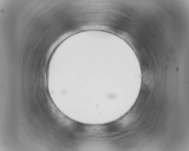 X0000052551150200507221444