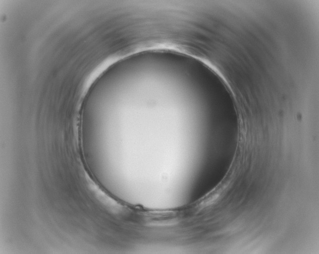 X0000052551151200507221444