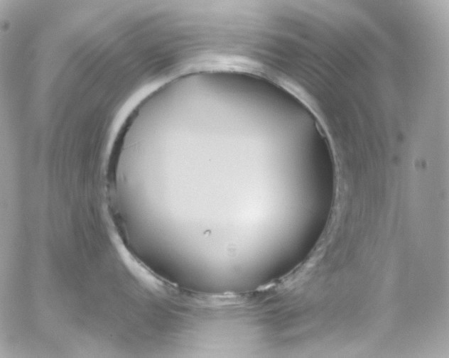 X0000052551152200507221444