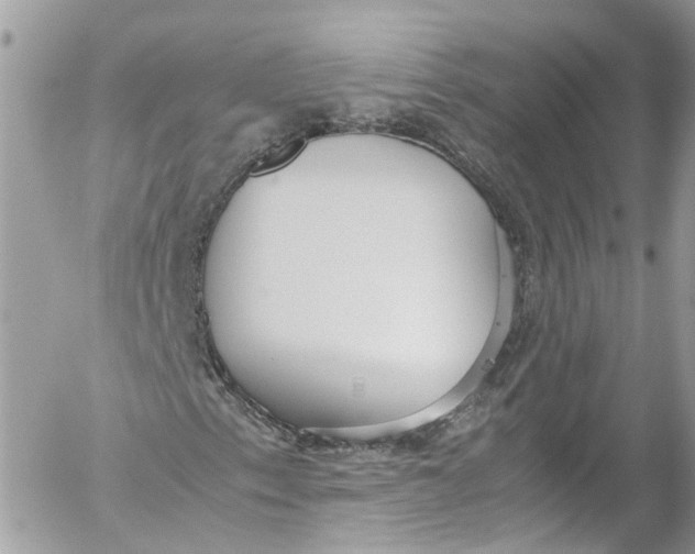 X0000052551153200507221444