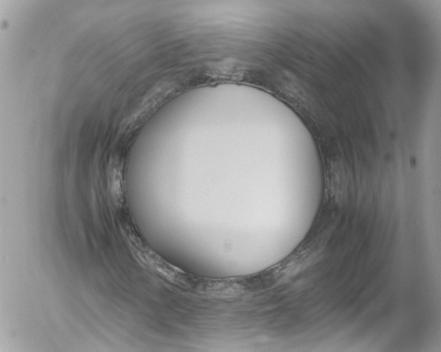 X0000052551154200507221444