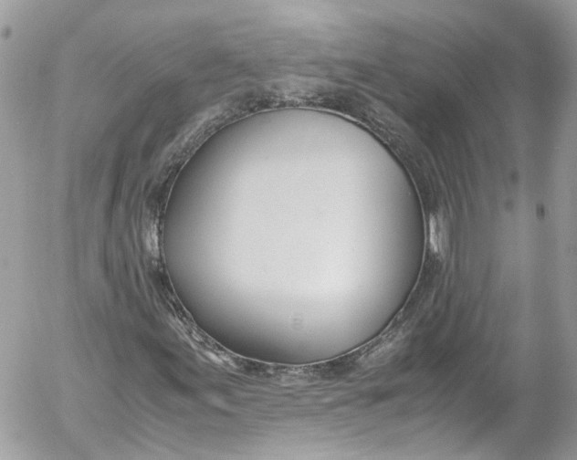 X0000052551155200507221444