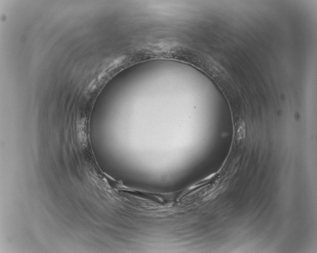 X0000052551156200507221444