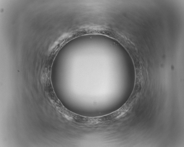 X0000052551157200507221444