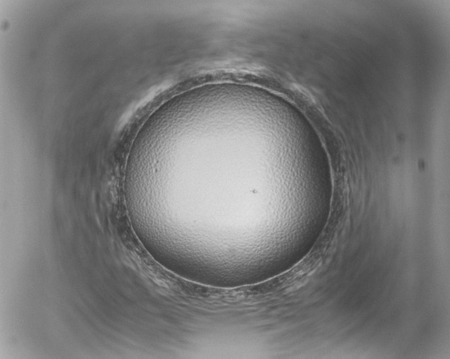 X0000052551159200507221444