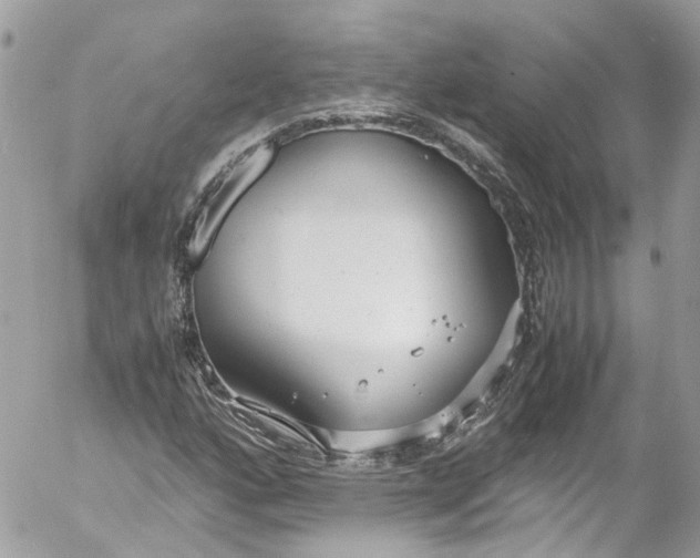 X0000052551160200507221444