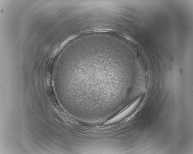 X0000052551161200507221444