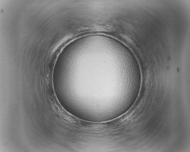 X0000052551163200507221444