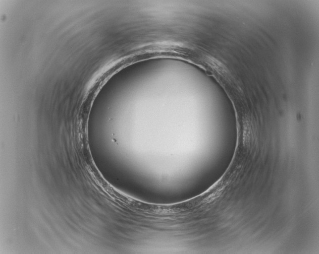 X0000052551164200507221443