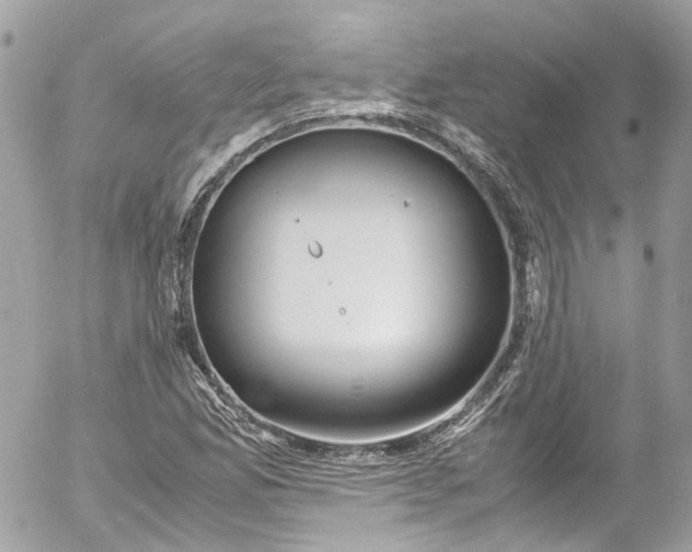 X0000052551165200507221443