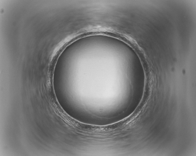 X0000052551167200507221443