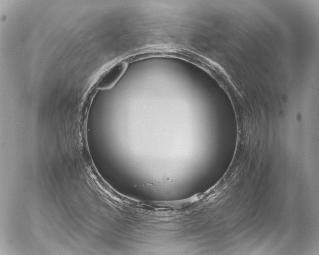 X0000052551168200507221443