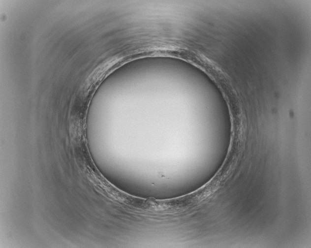 X0000052551169200507221443