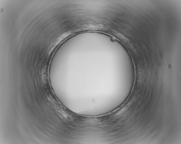 X0000052551170200507221443