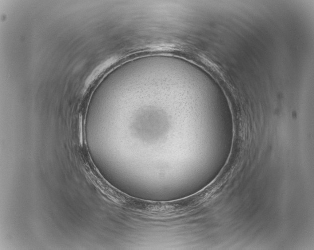 X0000052551171200507221443