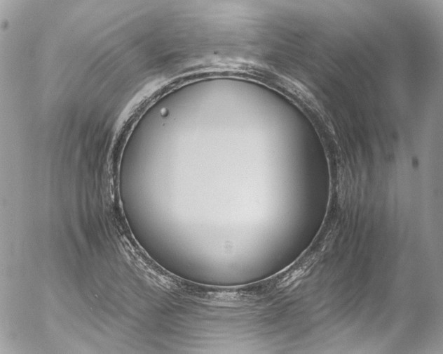 X0000052551172200507221443