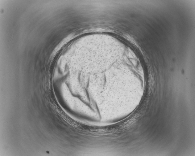 X0000052551173200507221443