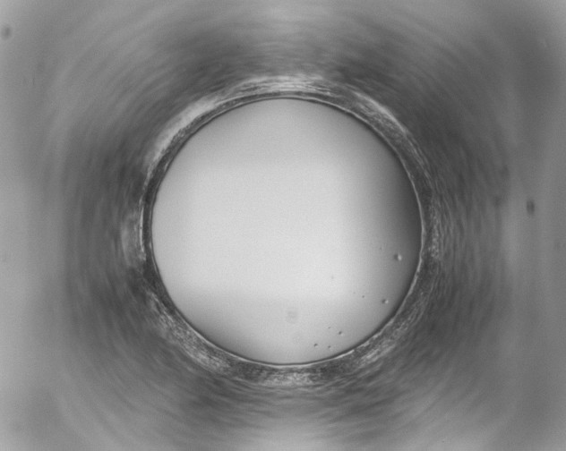 X0000052551174200507221443